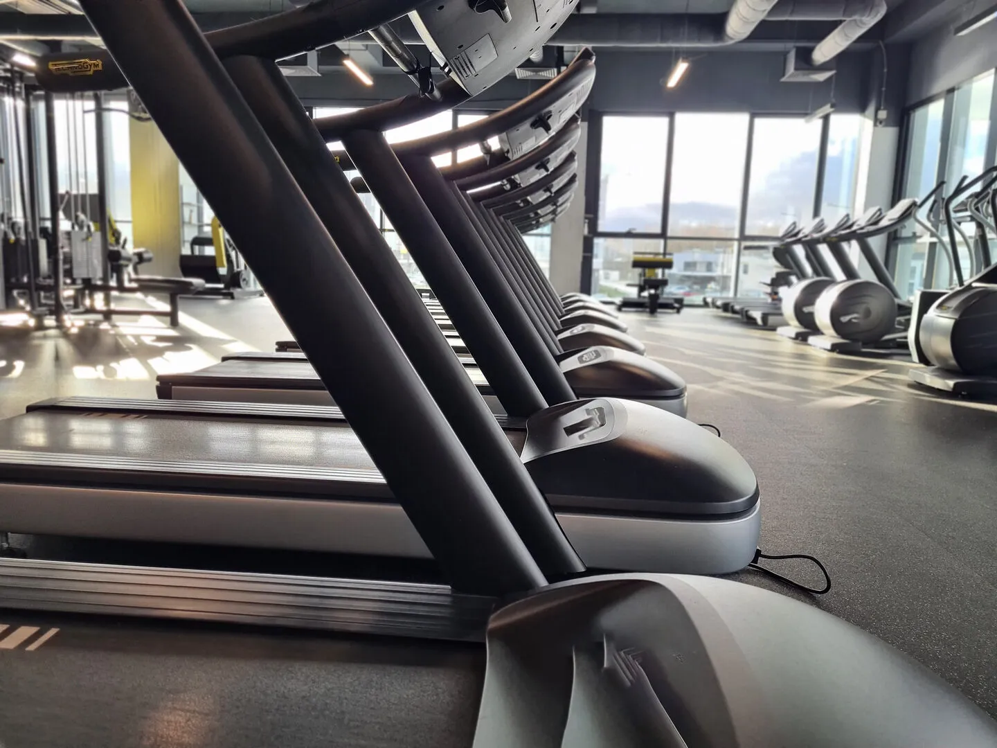 Automatiza tu Gimnasio con Web y Bot WhatsApp en 2026